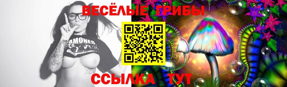 Псилоцибиновые грибы Magic Shrooms  Псилоцибиновые грибы Cubensis  Ишимбай  Вход с VPN 